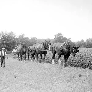 Ploughing in 1937