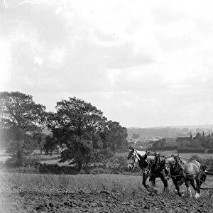 Ploughing Scene. March 1954