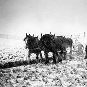 Ploughing in a snowstorm when Britain needed food - January 1947 A TopFoto