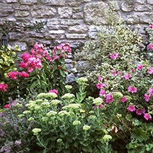 Pretty, colourful flower border against old stone wall. credit: Marie-Louise Avery