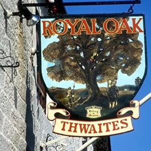 Pub sign for one of the Thwaites Houses, The Royal Oak