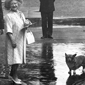 The Queen Mother outside her home at Clarence House on her 84th birthday with a royal corgi