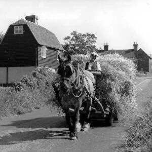 Down a Quiet Country Lane 3 August 1956