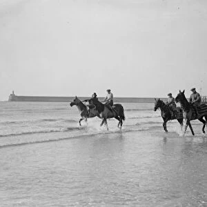 Four racehorses taking the cure in the surf at Seaford. Second from left is Master Orange