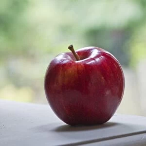 One whole red apple in natural setting credit: Marie-Louise Avery / thePictureKitchen