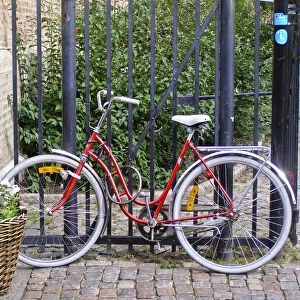 Red bicycle against black iron railings with planter basket of flowers credit