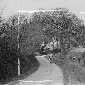 Road scene in Lenham, Kent. 1937