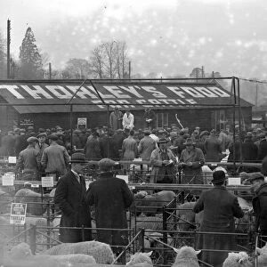 Sevenoaks Xmas Market. 1933