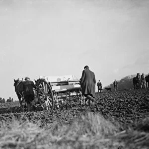 Sowing peas in a field in Bexley. 1937