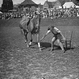 Staking Her Claim ! Photo Shows : Leading her poney, a girl rider eagerly lays