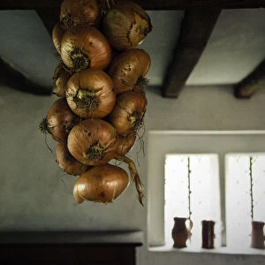 String of onions hanging in interior of period house at Singleton, West Sussex, UK