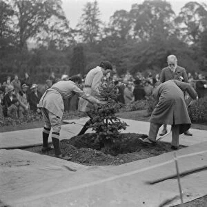 The Swanley Horticultural Show in Kent. Planting a Coronation tree to celebrate