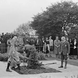 The Swanley Horticultural Show in Kent. Planting a coronation tree to celebrate