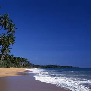 Tropical beauty. Sri Lanka. Kuskoda beach