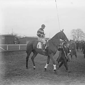 Turkey Buzzard, one of the Grand National candidates. 13 March 1923