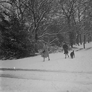 Walkers and their dogs enjoy the snow on Chislehurst Common, Kent. 1936