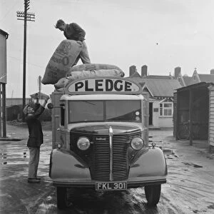 Workers are unloading sacks from a Bedford truck belonging to Pledge & Son Ltd