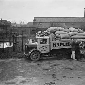 Workers are unloading sacks from a Bedford truck belonging to Pledge & Son Ltd