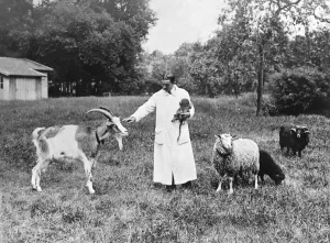 Animals rejuvenated by monkey gland treatment. Dr Serge Vorroneff in the grounds Animals rejuvenated by monkey gland treatment. Dr Serge Vorroneff in the grounds