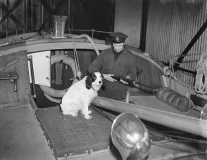 An armed sailor and a cocker spaniel on board a Dungeness life boat in Kent. 1939 An armed sailor and a cocker spaniel on board a Dungeness life boat in Kent. 1939