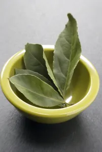 Bay leaves with small bowl on a dark plastic surface. Bay leaf (Greek Daphni, Romanian Bay leaves with small bowl on a dark plastic surface. Bay leaf (Greek Daphni, Romanian