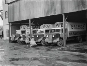 Bedford trucks belonging to Pledge & Son Ltd, the milling company, being loaded Bedford trucks belonging to Pledge & Son Ltd, the milling company, being loaded