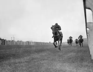 Brighton Racing Mumtaz Begum (R. Perryman) winning the Shoreham Maiden Plate Brighton Racing Mumtaz Begum (R. Perryman) winning the Shoreham Maiden Plate