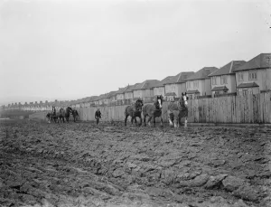 Changing Britain - the suburbs meet the farmland A farmer and his horse team Changing Britain - the suburbs meet the farmland A farmer and his horse team