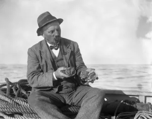 A Channel Islander inspecting his catch of ormers or abalone after a day out collecting them A Channel Islander inspecting his catch of ormers or abalone after a day out collecting them