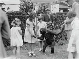 Children at the Dartford Carnival shake hands with a chimpanzee. 1937 Children at the Dartford Carnival shake hands with a chimpanzee. 1937