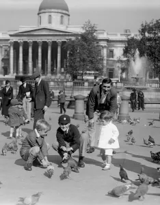 Children feeding the pigeons in Trafalgar Square with the columns of the National Children feeding the pigeons in Trafalgar Square with the columns of the National