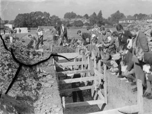 Children at school in Sidcup, Kent, during wartime. Here they are watching Children at school in Sidcup, Kent, during wartime. Here they are watching