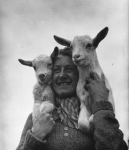 Connie Gurney holding a pair of kids at a goat farm in birling, Kent, 1939 Connie Gurney holding a pair of kids at a goat farm in birling, Kent, 1939