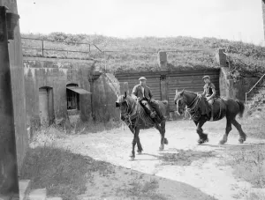 Farm workers ride work horses past an old Fort on their farm at Farningham, Kent Farm workers ride work horses past an old Fort on their farm at Farningham, Kent