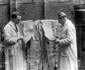 Fish and snake skins used for fashionable shoes at Gerrett and sons. 19 September 1925 Fish and snake skins used for fashionable shoes at Gerrett and sons. 19 September 1925