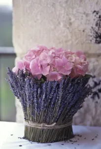 Flower arrangement of pink hydrangeas surrounded by lavender stems held onto pot Flower arrangement of pink hydrangeas surrounded by lavender stems held onto pot