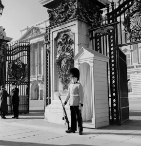 A footguard on sentry duty outside Buckingham Palace, London, England. 1960 s A footguard on sentry duty outside Buckingham Palace, London, England. 1960 s