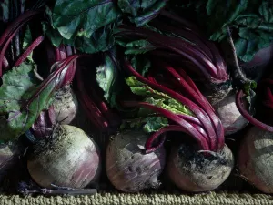 Fresh whole raw beetroot for sale in box outside traditional greengrocers shop credit Fresh whole raw beetroot for sale in box outside traditional greengrocers shop credit