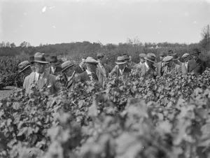 Fruit tour. National Farmers Union (England and Wales). 1935 Fruit tour. National Farmers Union (England and Wales). 1935