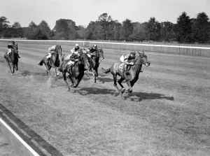 Gatwick, West Sussex. Zenart ridden by J. Sirett leading the field in the Wick Selling Gatwick, West Sussex. Zenart ridden by J. Sirett leading the field in the Wick Selling