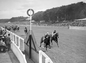 Goodwood Sussex England Finish of Charlton Welter Handicap Saint Andrews Goodwood Sussex England Finish of Charlton Welter Handicap Saint Andrews