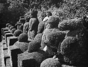 A groundsman trims the topiary figures at Hever Castle. 1938 A groundsman trims the topiary figures at Hever Castle. 1938