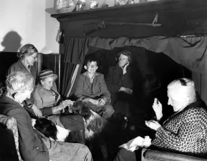 A group of elderly people and their dogs gathered together in a house in Sussex, England A group of elderly people and their dogs gathered together in a house in Sussex, England