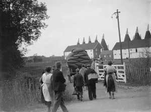 Hop pickers walking back to the oast houses with a loaded cart. 1935 Hop pickers walking back to the oast houses with a loaded cart. 1935