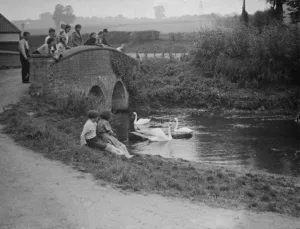 Hop pickers watch the swans on the river from a bridge. 1938 Hop pickers watch the swans on the river from a bridge. 1938