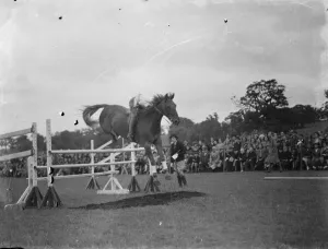 Horse jumping at the Bexleyheath Gala in Kent. A competitor make a jump Horse jumping at the Bexleyheath Gala in Kent. A competitor make a jump