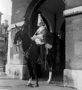 Horseguard on sentry duty outside Horse Guards Parade, Whitehall, London, England Horseguard on sentry duty outside Horse Guards Parade, Whitehall, London, England