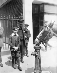 Hot weather scene in Fleet Street Horse drinks from hydrant 22 May 1922 Hot weather scene in Fleet Street Horse drinks from hydrant 22 May 1922