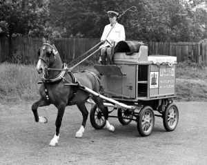 Immaculate display of a milkman and his horse at an agricultural show in the 1950's Immaculate display of a milkman and his horse at an agricultural show in the 1950's
