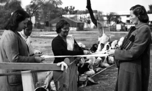 Lady Louis Mountbatten in India. Lady Mountbatten, who is visiting India and spending Lady Louis Mountbatten in India. Lady Mountbatten, who is visiting India and spending
